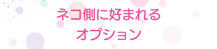 タチ側に好まれるオプション