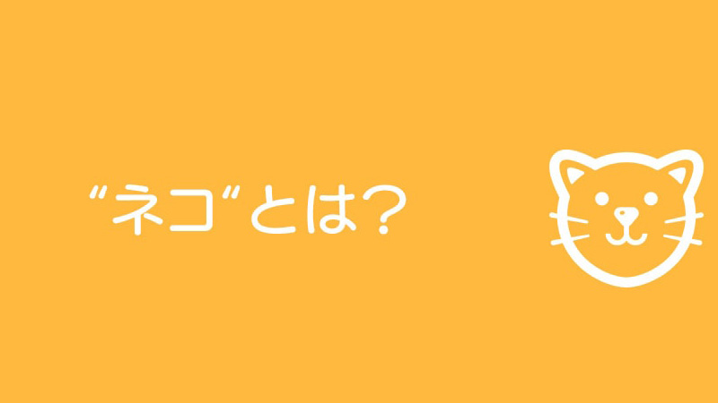 ネコとは？