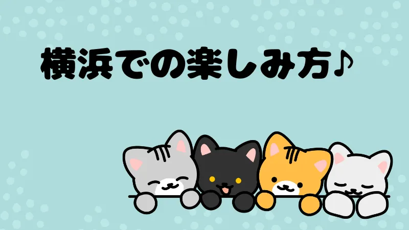 横浜4 - 【ディスティニー】女性が運営する新宿発のレズ風俗